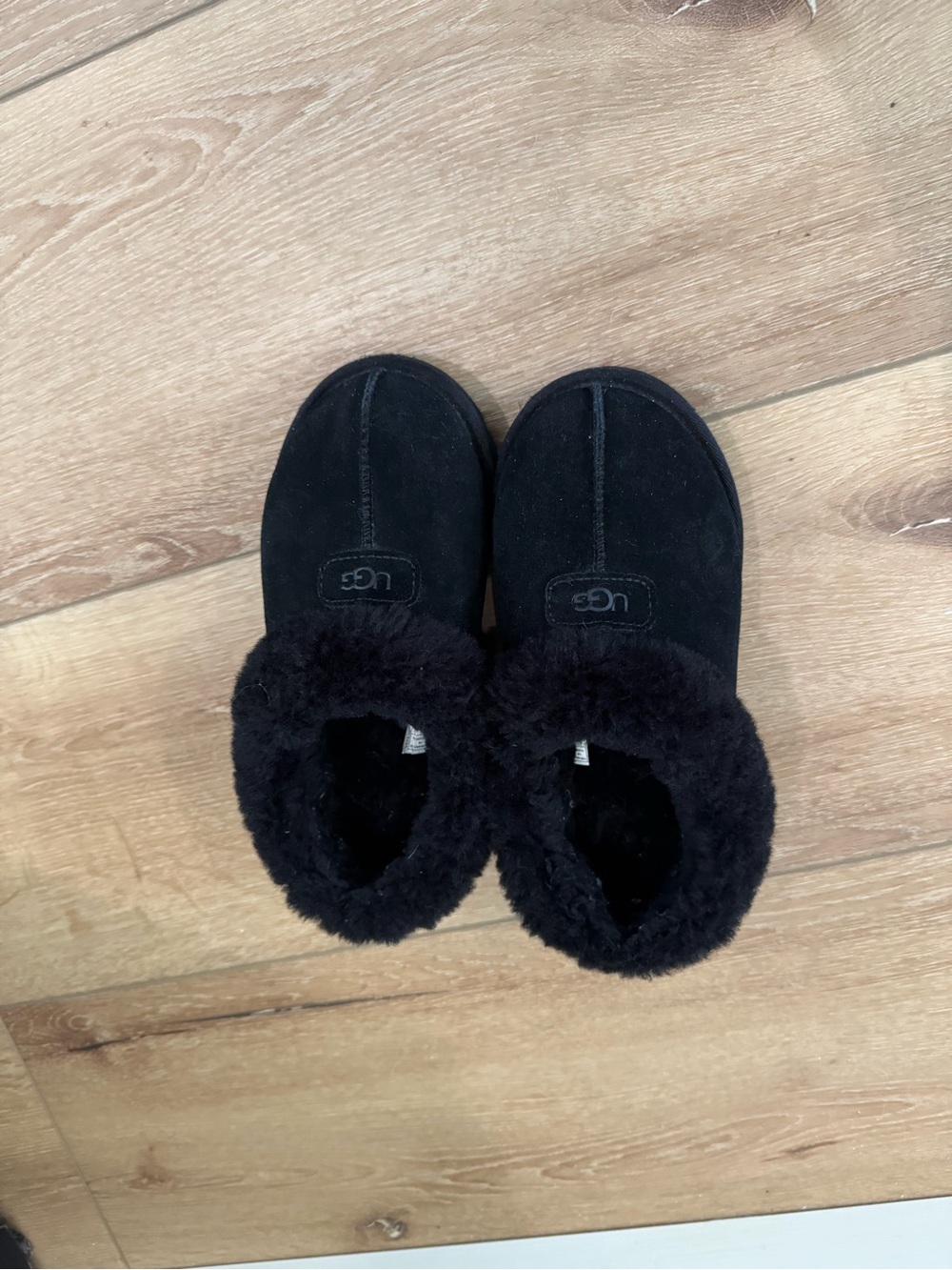 UGG tazzette